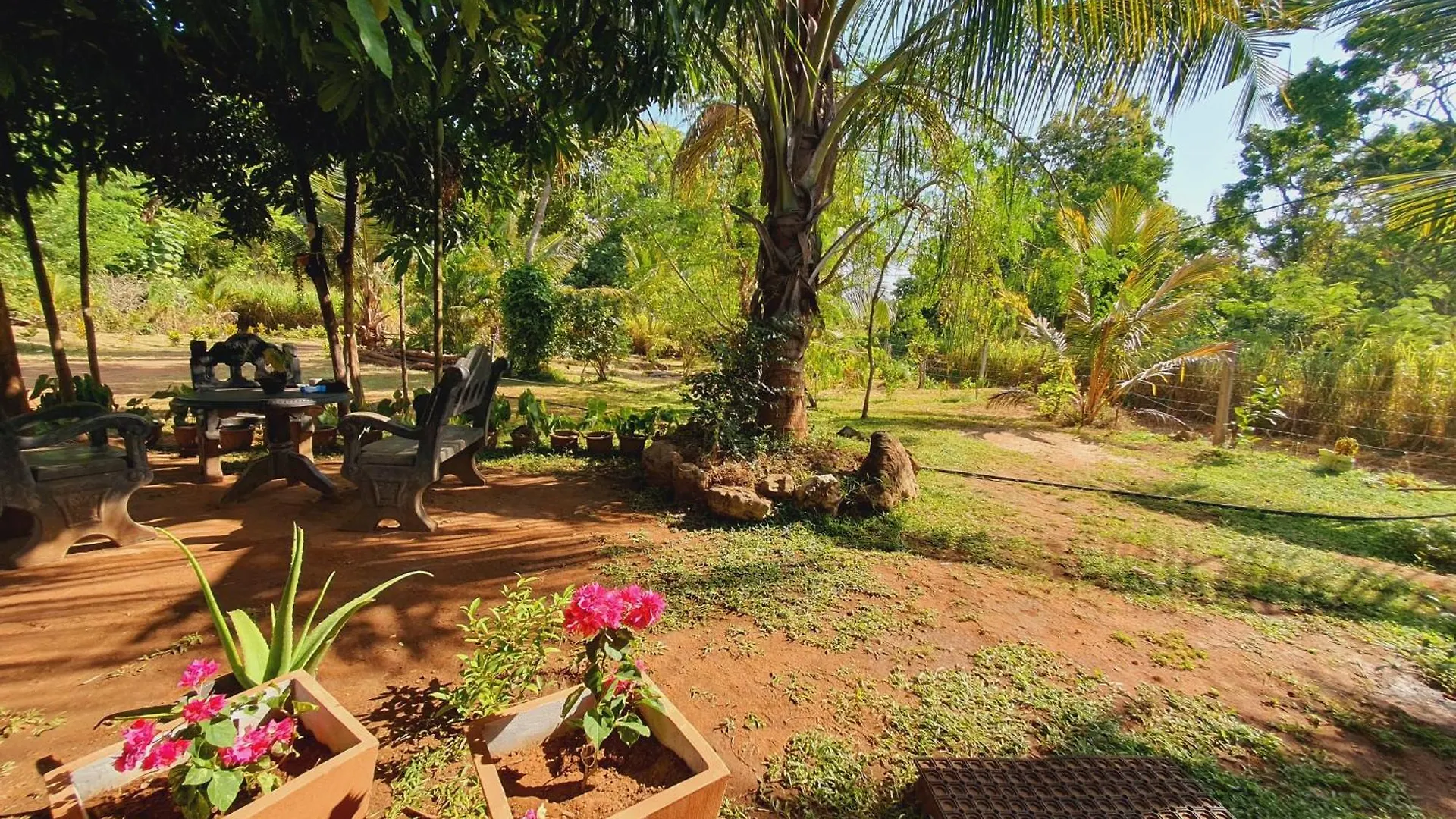 Jungle Eco Lodge & Safari Sigiriya