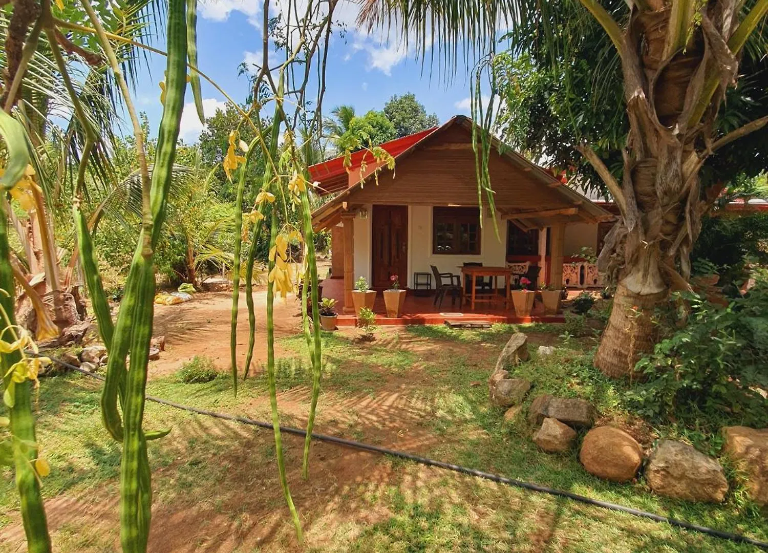 Privatunterkunft Jungle Eco Lodge & Safari Sigiriya Sri Lanka