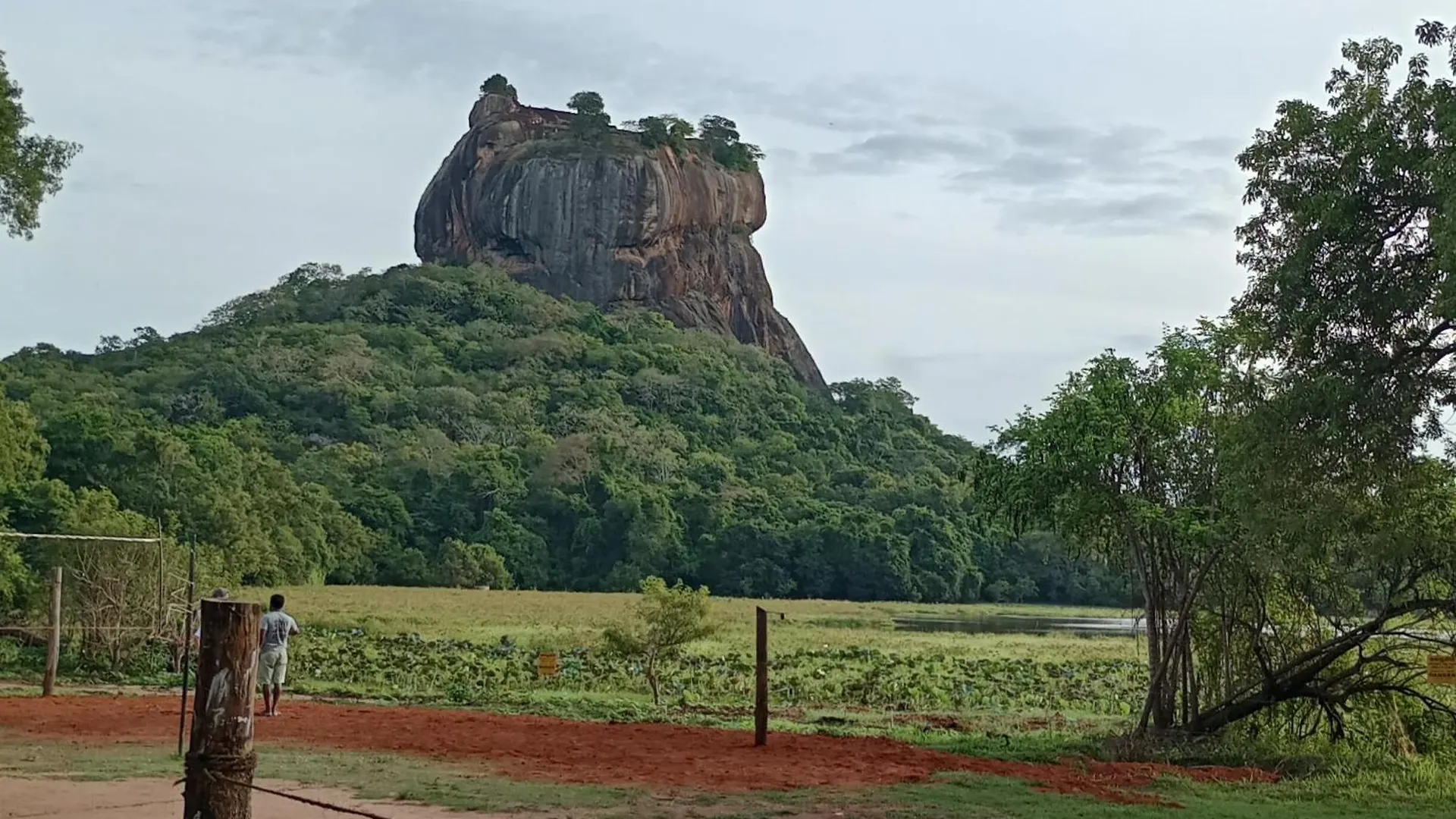 Jungle Eco Lodge & Safari Sigiriya Sri Lanka