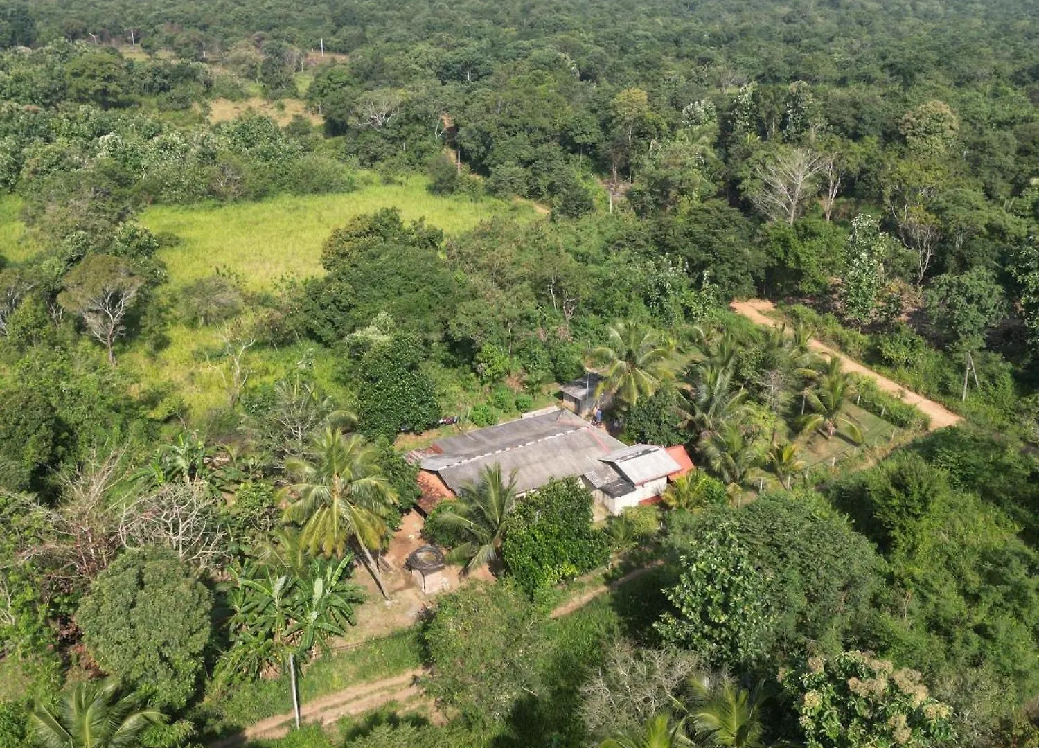 Privatunterkunft Jungle Eco Lodge & Safari Sigiriya Sri Lanka